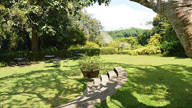 Cinnamon Bey Beruwala